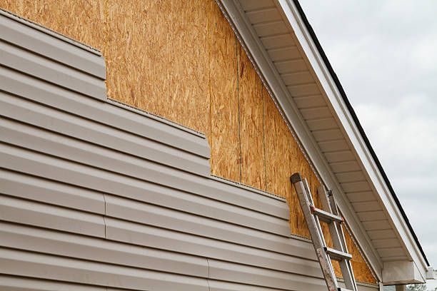 Best Custom Siding Design  in Newellton, LA